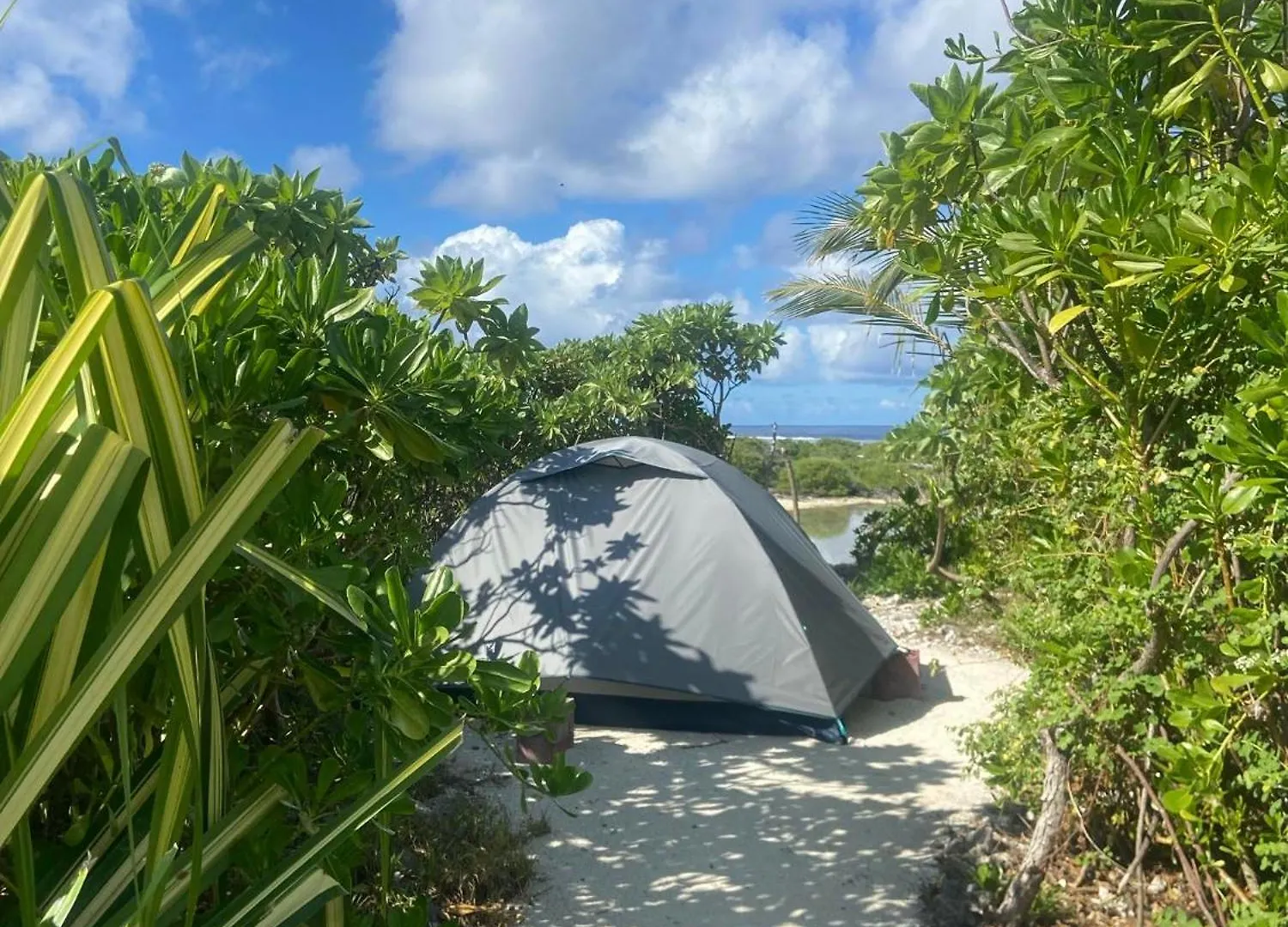 Alaroots Bora Bora Camp Hostel