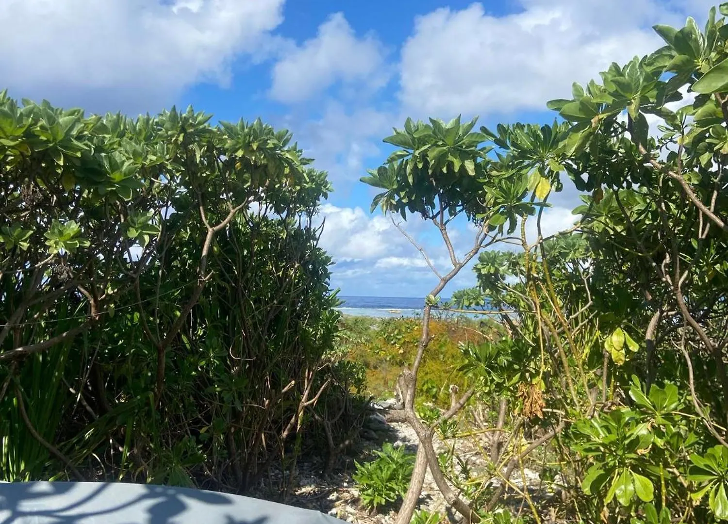 Alaroots Bora Bora Camp Hostel French Polynesia