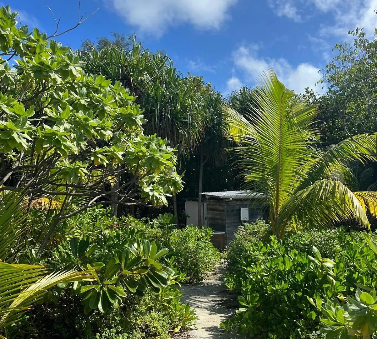 Alaroots Bora Bora Camp Hostel