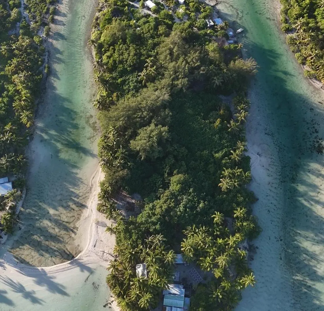 Alaroots Bora Bora Camp Hostel