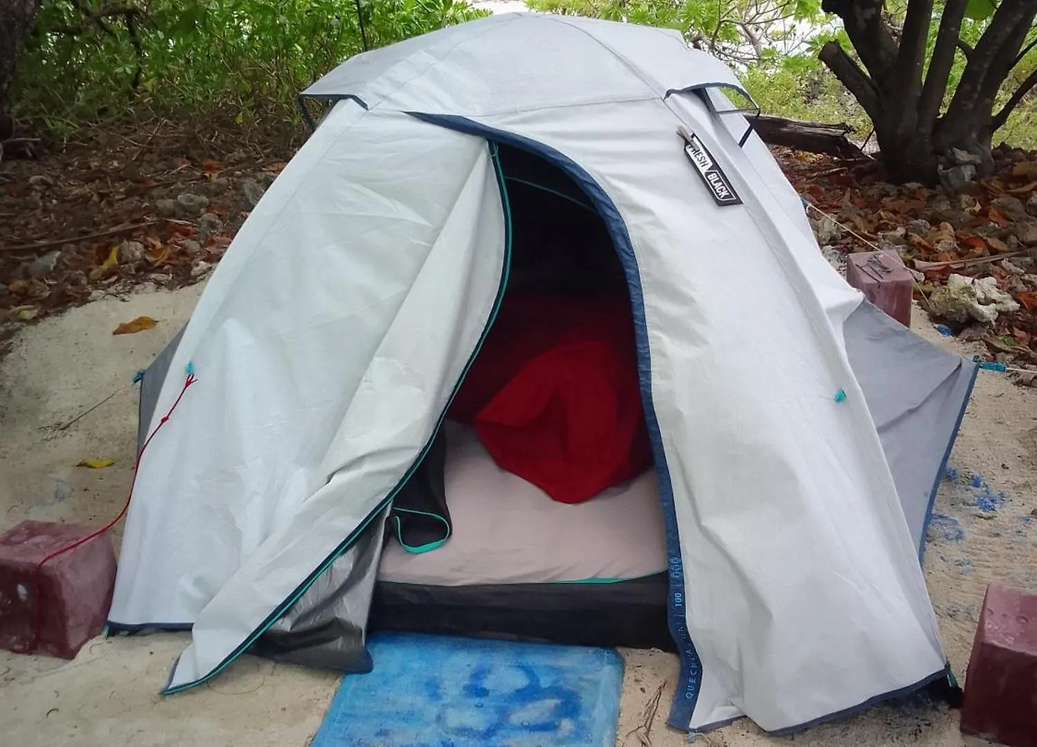 Alaroots Bora Bora Camp Hostel