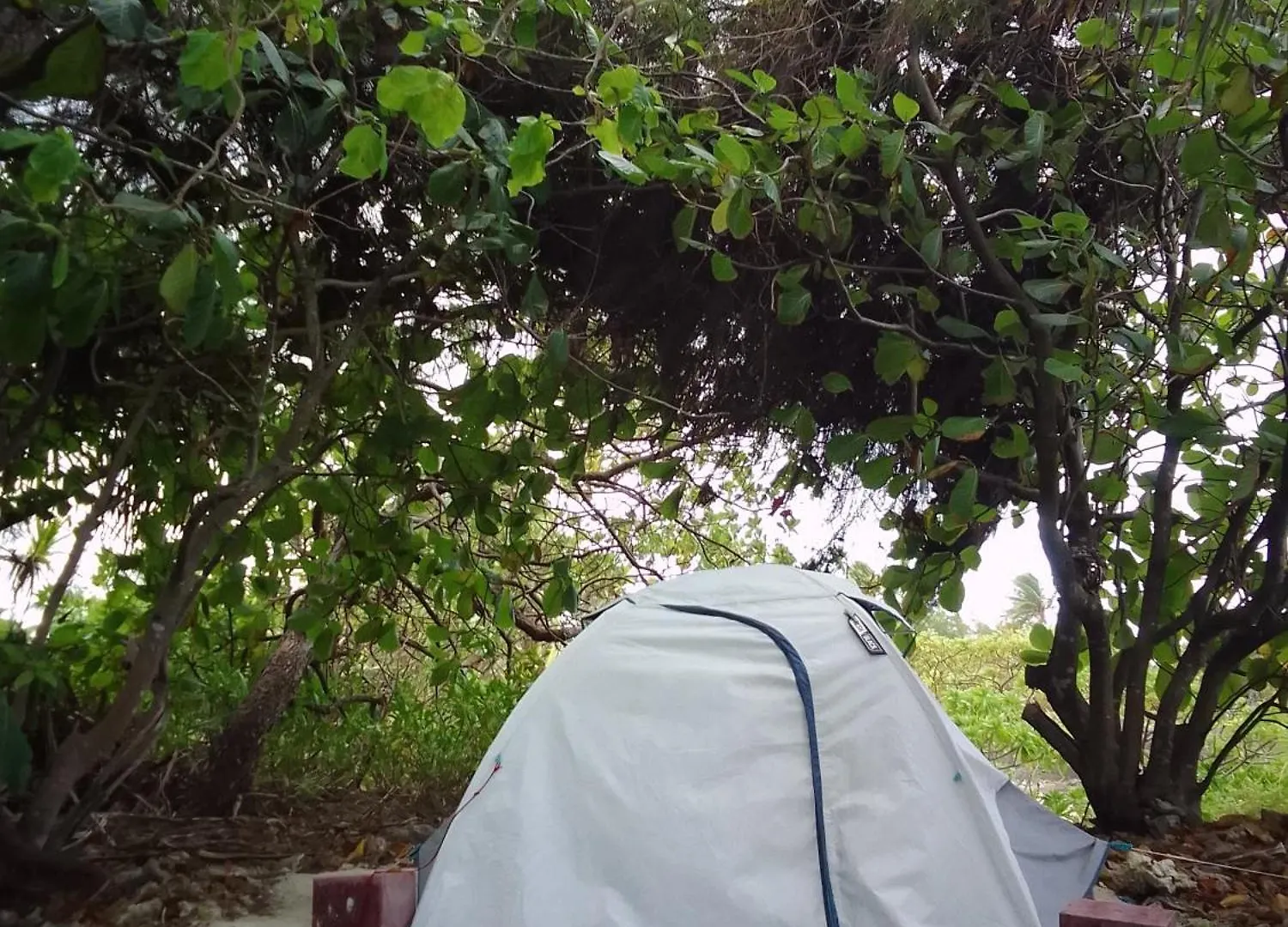 Alaroots Bora Bora Camp Hostel