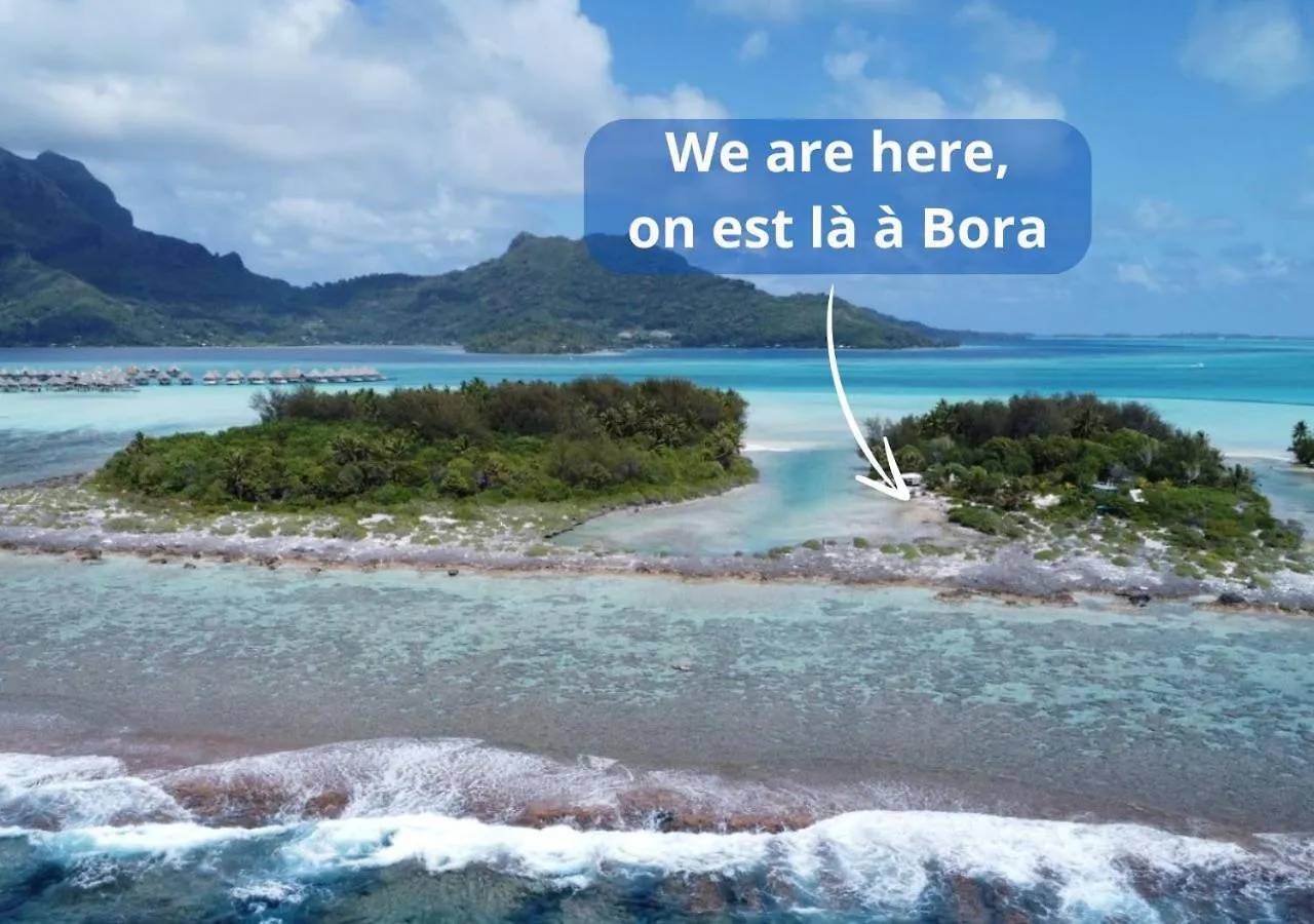 Alaroots Bora Bora Camp Hostel