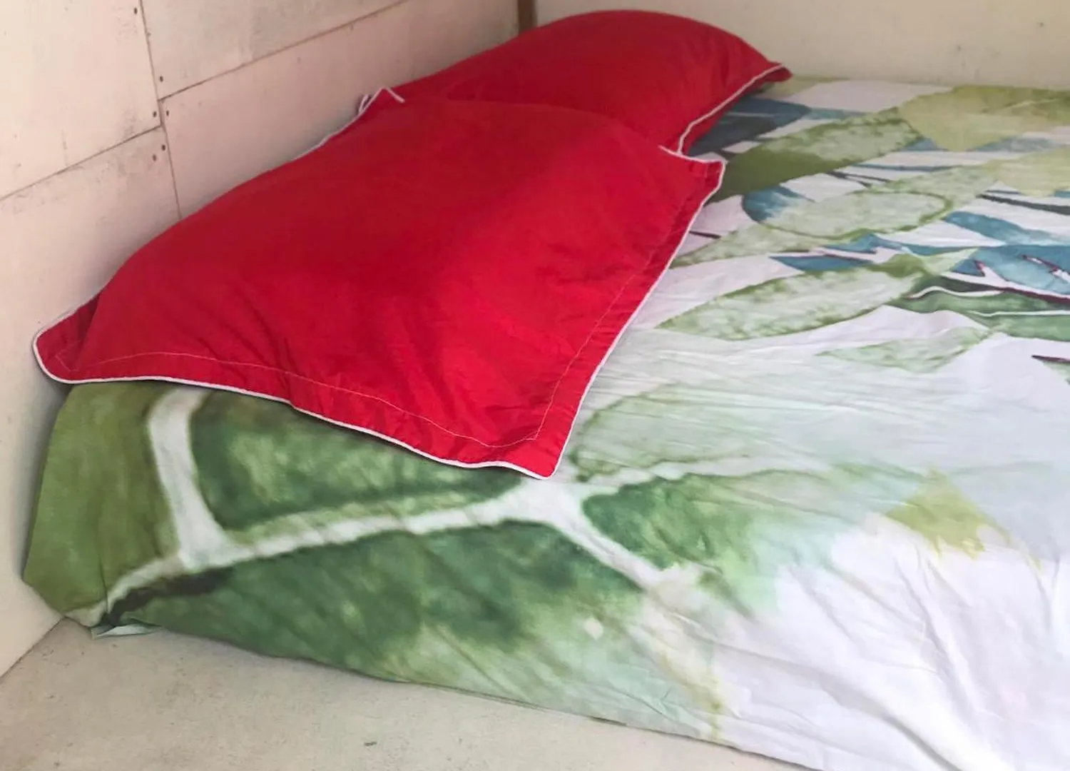 Alaroots Bora Bora Camp Hostel